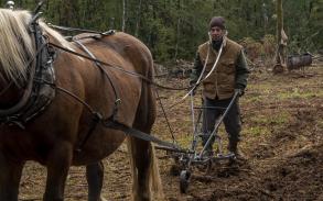 C'est le monde à l'envers ! Avant-première